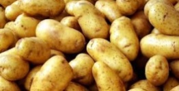 toptan-patates-fiyatlari2