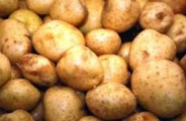 toptan-patates-fiyatlari3