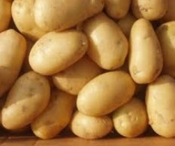 toptan-patates-fiyatlari7