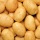 Agria Patates Tohumu Fiyatları