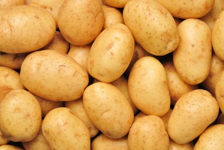 agria-toptan-patates-fiyatlarii