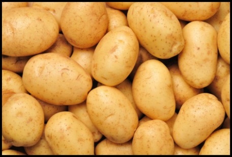agria-toptan-patates-fiyatlarii